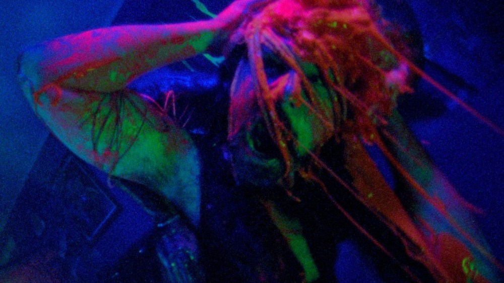 Argentinisches Spin-off des Alien-Horrorfilms „Jimmy und Stiggs“ soll fliegen