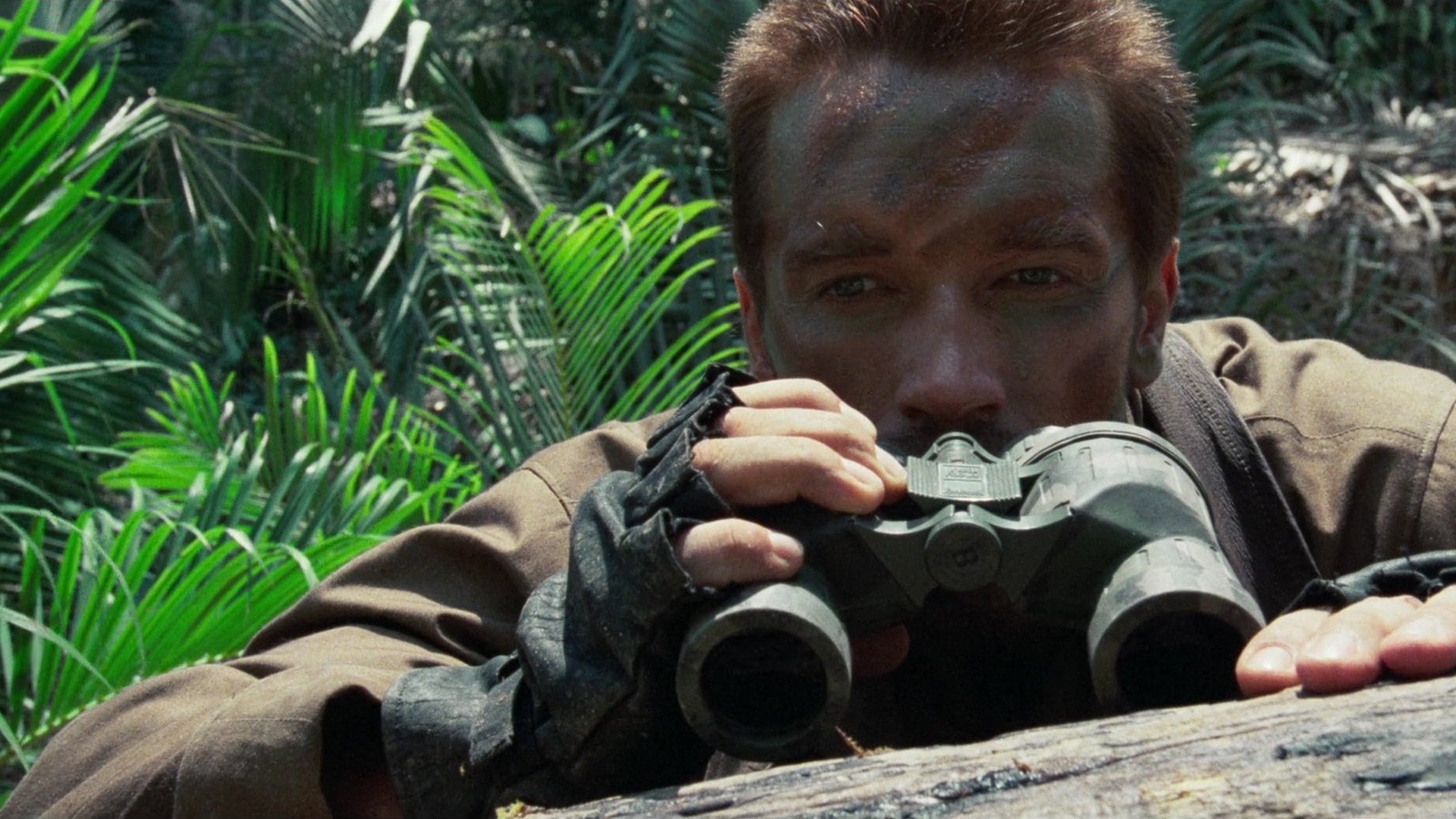 Science-Fiction-Autor Ray Bradbury hatte harte Worte für den ersten Predator-Film