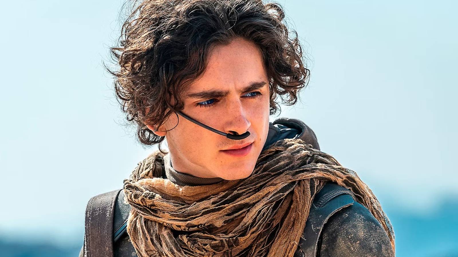 „Timothée Chalamet von Dune enthüllt ersten Blick auf neuen Science-Fiction-Film“